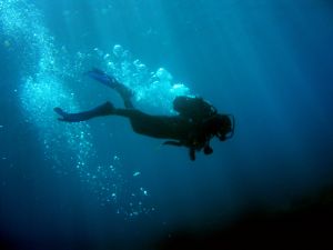 1024747_scubadiver