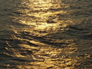 187698_gold_sea