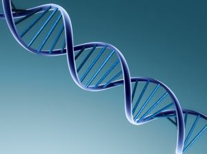 914335___dna__
