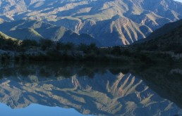Misericórdia, o descanso da mente