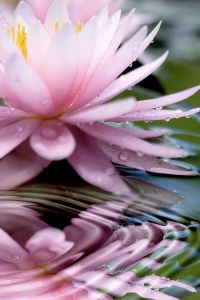 1122568___ripples__