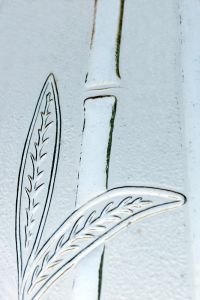 600995_bamboo