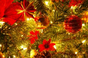 1174624_christmas_lights_41