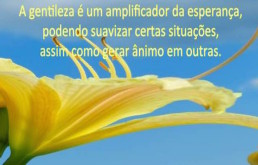 Gentileza, o poder sutíl de quem hospeda um grande coração (Audiovisual)