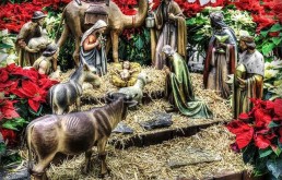 É Natal, lembremos a manjedoura