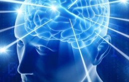 Perspectivas da INTUIÇÃO – O neurocientista.
