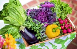 Vegetarianismo – Entrevista com o Dr. Eric