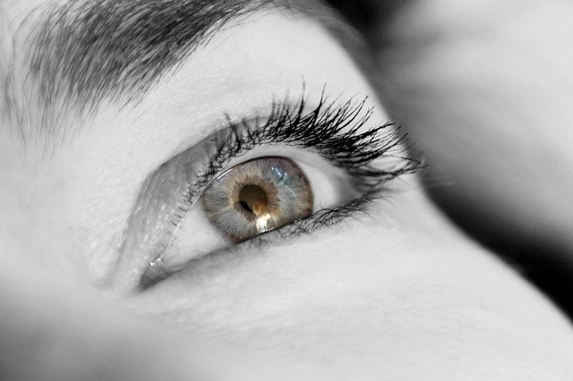 Olhar reflexivo: que curso escolher? Que área escolher? sonhar com um ideal