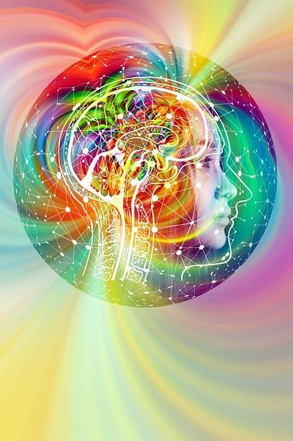 formas de inteligência